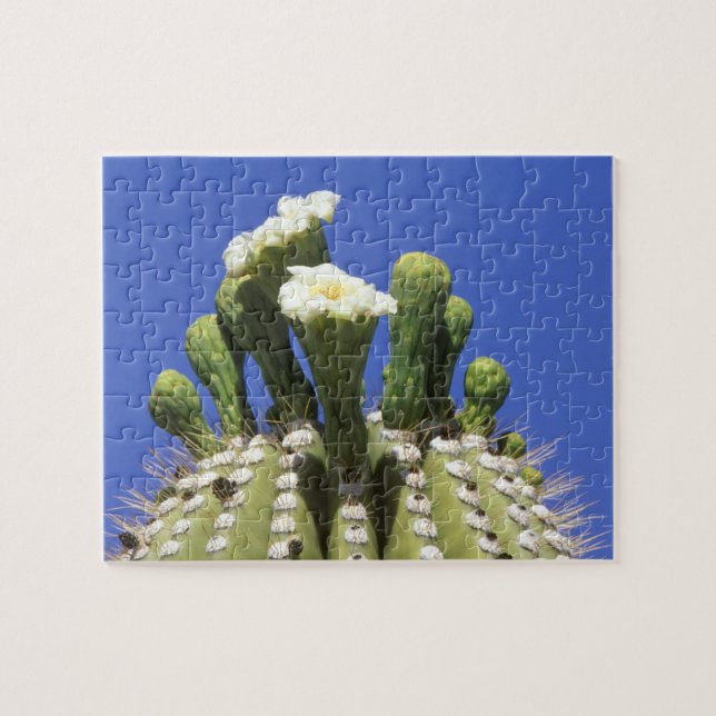 Puzzle N.A., États-Unis, Arizona, Tucson, désert de Sonor (Horizontal)
