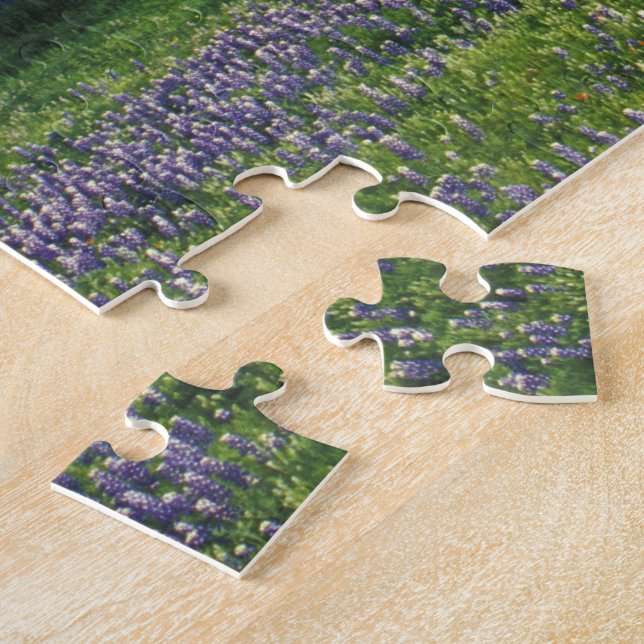 Puzzle N.A, États-Unis, Texas, lac Buchanan, chênes et bl (Côté)