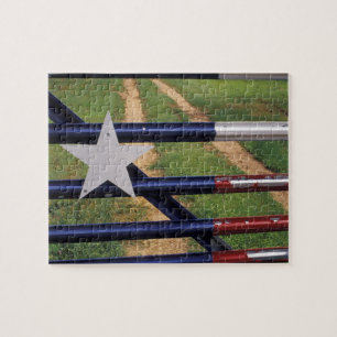 Puzzle N.A., États-Unis, Texas, lac Buchanan, drapeau du