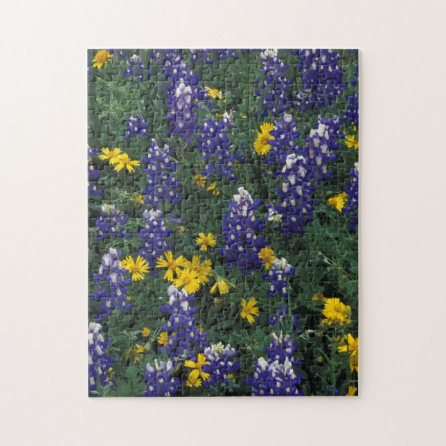 Puzzle N.A, États-Unis, Texas, Marble Falls, Bleus Bonnet (Vertical)