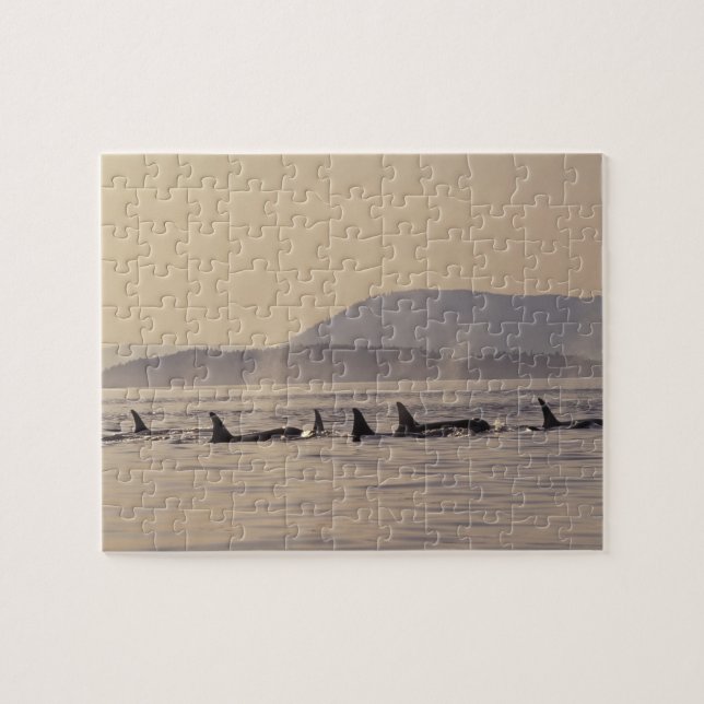 Puzzle N.A., États-Unis, Washington, Îles San Juan Orque (Horizontal)
