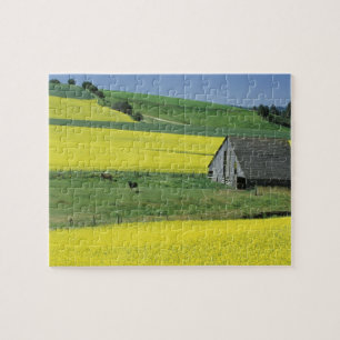 Puzzle NA, États-Unis, Idaho, près de Potlatch, Canola et