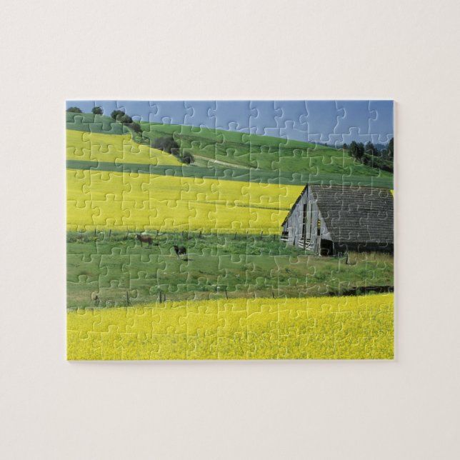 Puzzle NA, États-Unis, Idaho, près de Potlatch, Canola et (Horizontal)