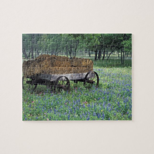Puzzle NA, États-Unis, Texas, à l'est de Devine, Vieux ch (Horizontal)