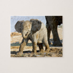 Puzzle Namibie, Afrique : bébé éléphant d'Afrique
