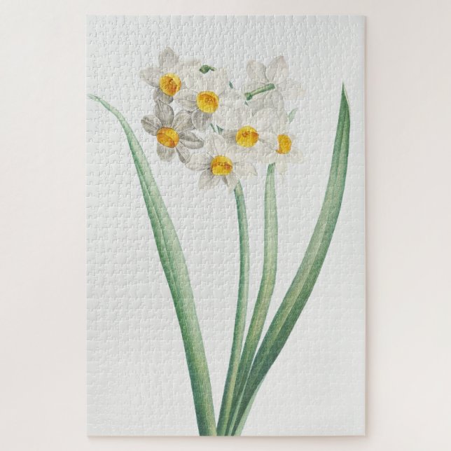 Puzzle Narcisse, Pierre-Joseph Redouté, 1805 (Vertical)