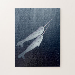 Puzzle Narwhals mignon nageant ensemble sous l'eau