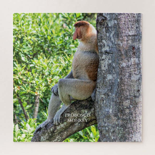 Puzzle Nasique (Vertical)