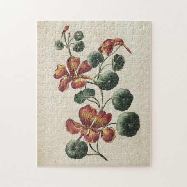 Puzzle Nasturtium végétal vintage (Vertical)