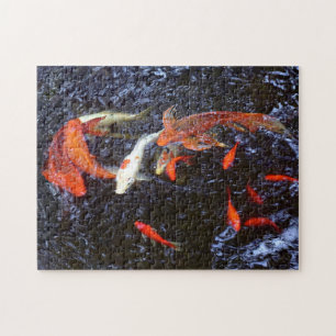 Puzzle Natation Koi
