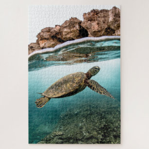 Puzzle Natation Tortue de mer et rochers