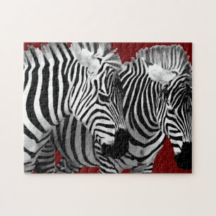 Puzzle Nature cool Faune Zebra Stripes