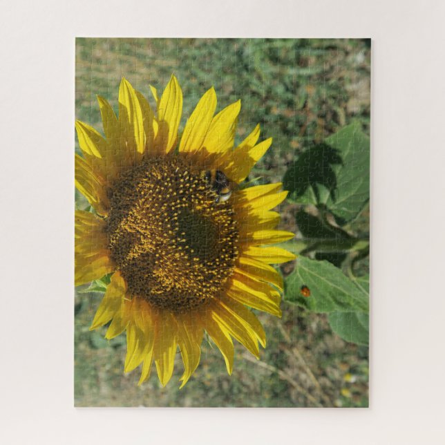 Puzzle nature, fleur, été, tournesol, fleurs, (Vertical)