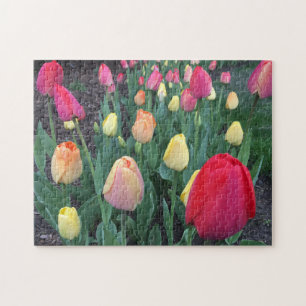 Puzzle Nature Floral Tulips Photo
