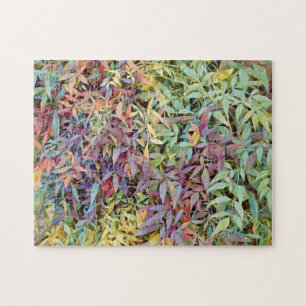 Puzzle naturel Feuille coloré