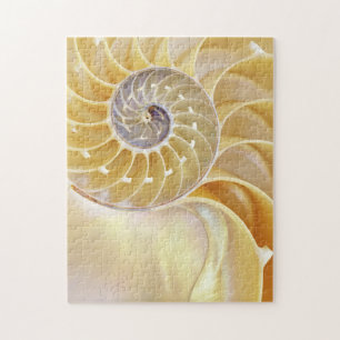 Puzzle Nautilus