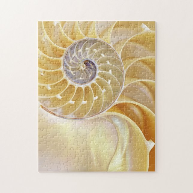 Puzzle Nautilus (Vertical)