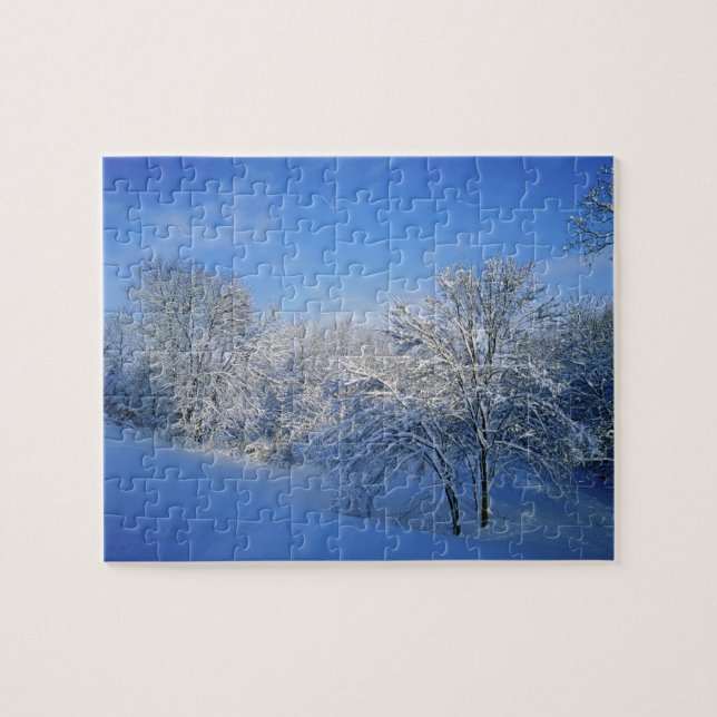 Puzzle Neige record à Louisville, Kentucky. (Horizontal)