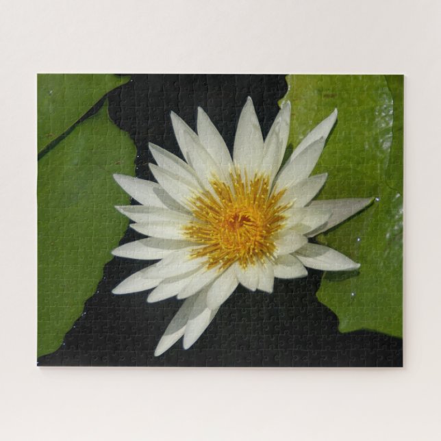 Puzzle Nénuphar blanc (Horizontal)