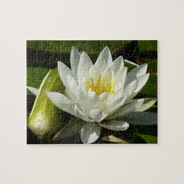 Puzzle Nénuphar blanc et bud Floral (Horizontal)