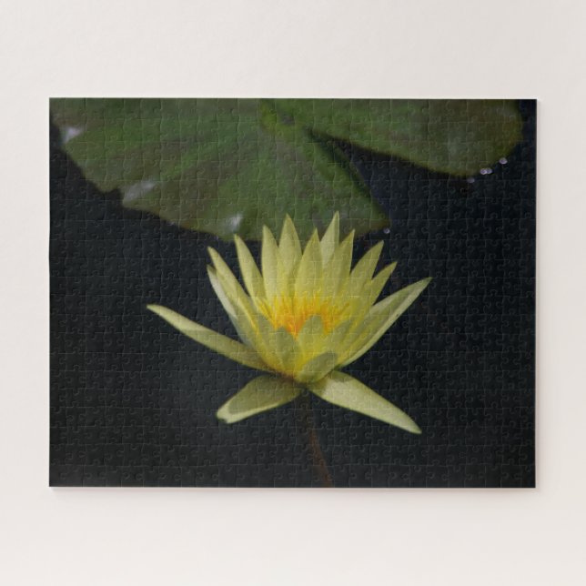Puzzle Nénuphar Jaune (Horizontal)
