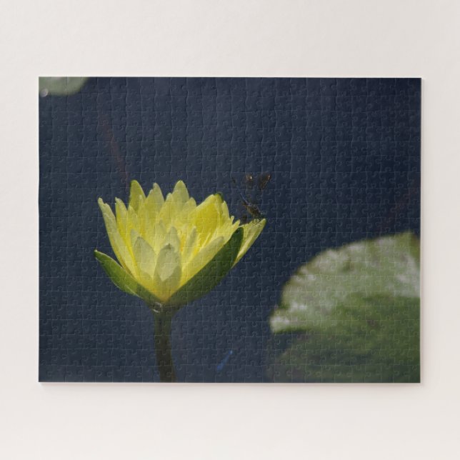 Puzzle Nénuphar jaune (Horizontal)