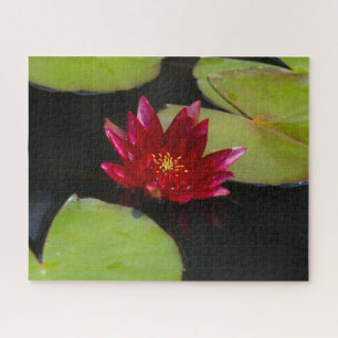 Puzzle Nénuphar Magenta