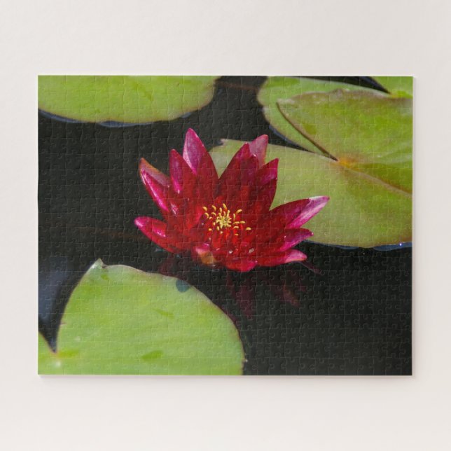 Puzzle Nénuphar Magenta (Horizontal)