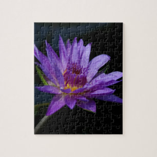 Puzzle Nénuphar pourpre Lotus