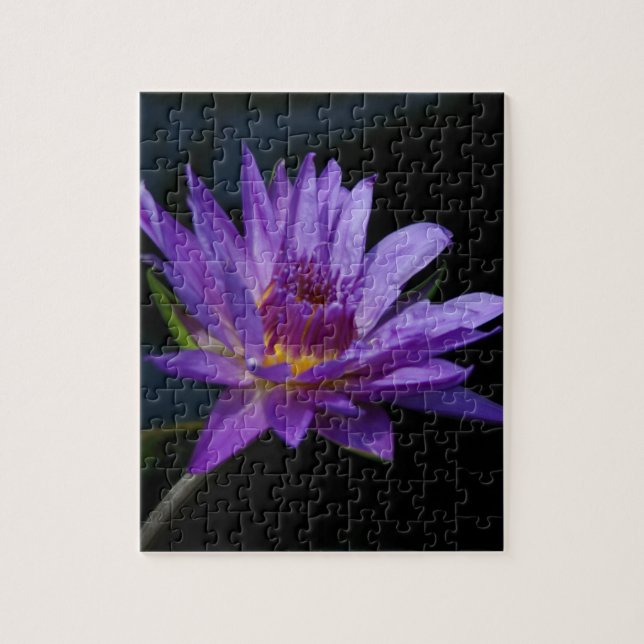 Puzzle Nénuphar pourpre Lotus (Vertical)