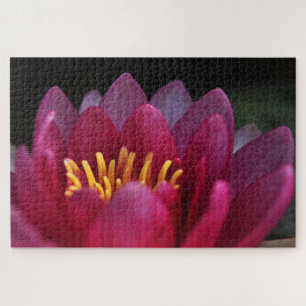 Puzzle Nénuphar rose