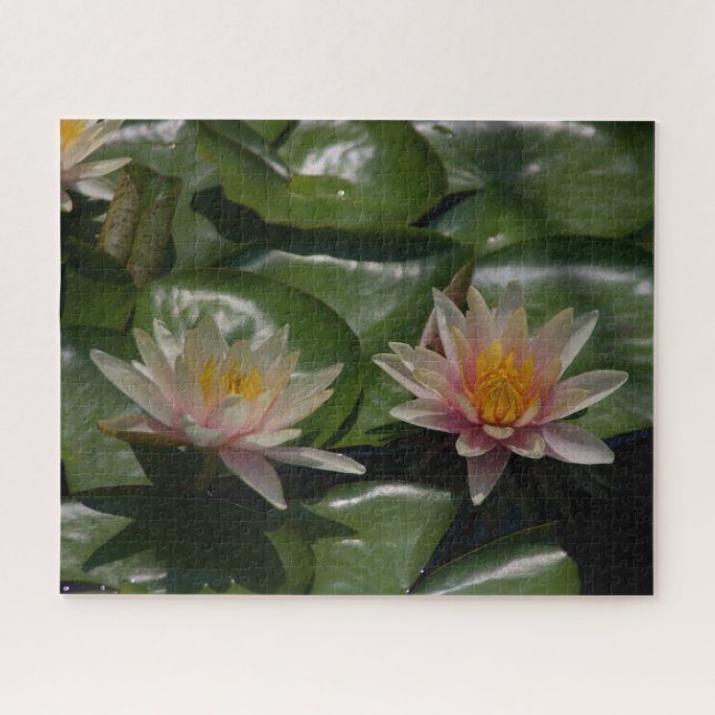 Puzzle Nénuphar rose (Horizontal)