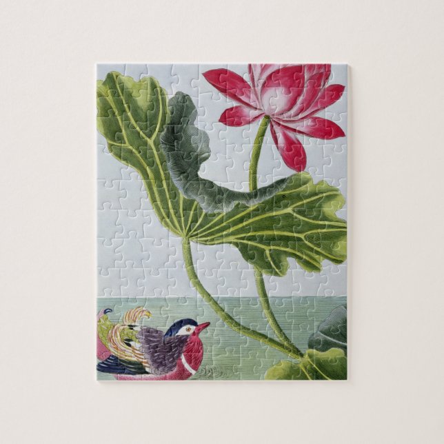 Puzzle Nénuphar rouge chinois, volume I, plat 82, de ' (Vertical)