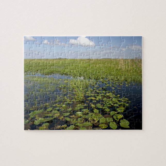Puzzle Nénuphars et sawgrass dans les everglades de Flori (Horizontal)