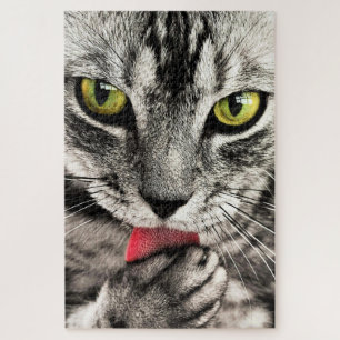 Puzzle Nettoyage de chats