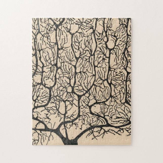 Puzzle Neuron Drawing By Santiago Ramón Y Cajal (Vertical)