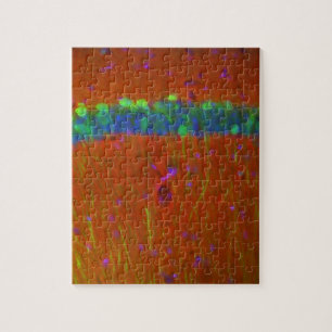 Puzzle Neurones 4 de Hippocampal