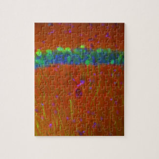 Puzzle Neurones 4 de Hippocampal