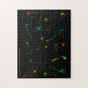 Puzzle NeuroStage3