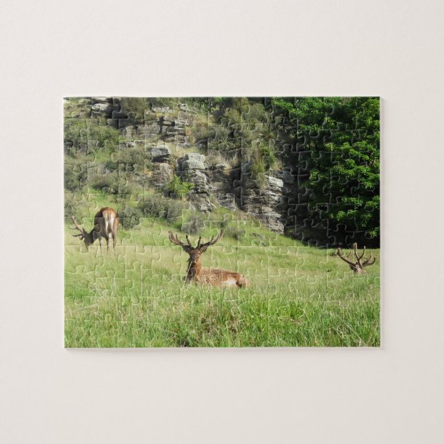 Puzzle New Zealand Stags (Horizontal)