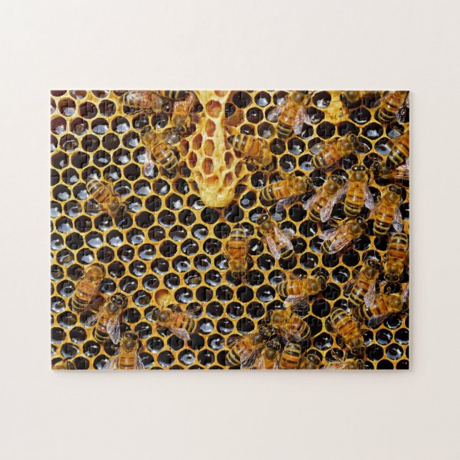 Puzzle Nid d'abeilles et abeilles (Horizontal)