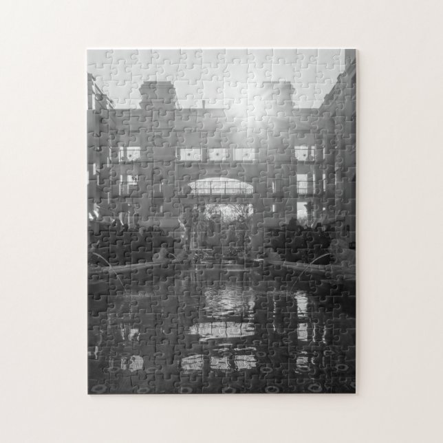 Puzzle Niveaux de gris de Sunburst Coronado (Vertical)