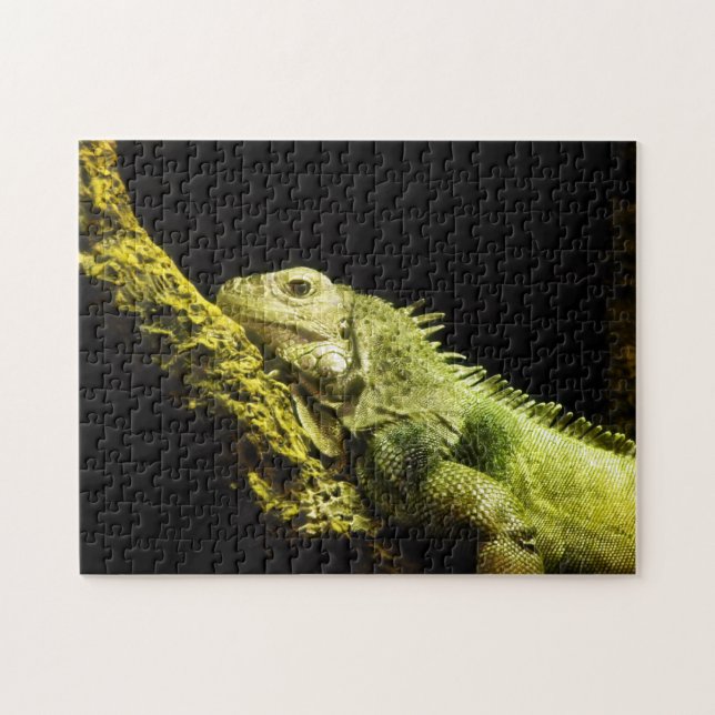 Puzzle noble d'iguane (Horizontal)
