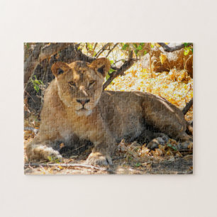 Puzzle Nobles Lions d'Afrique.