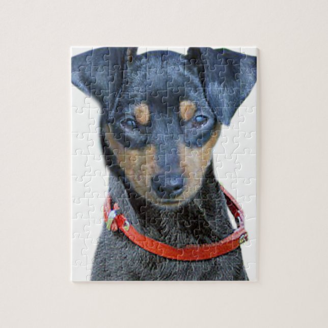 Puzzle Noir et brun de Pinscher miniature (Vertical)