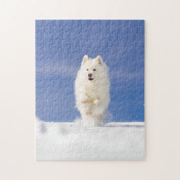 Puzzle Noix de coco - Ours des neiges