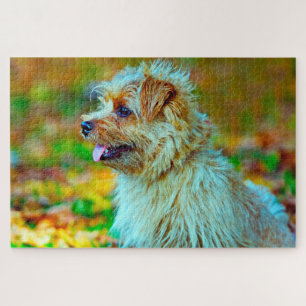 Puzzle Norfolk terrier.