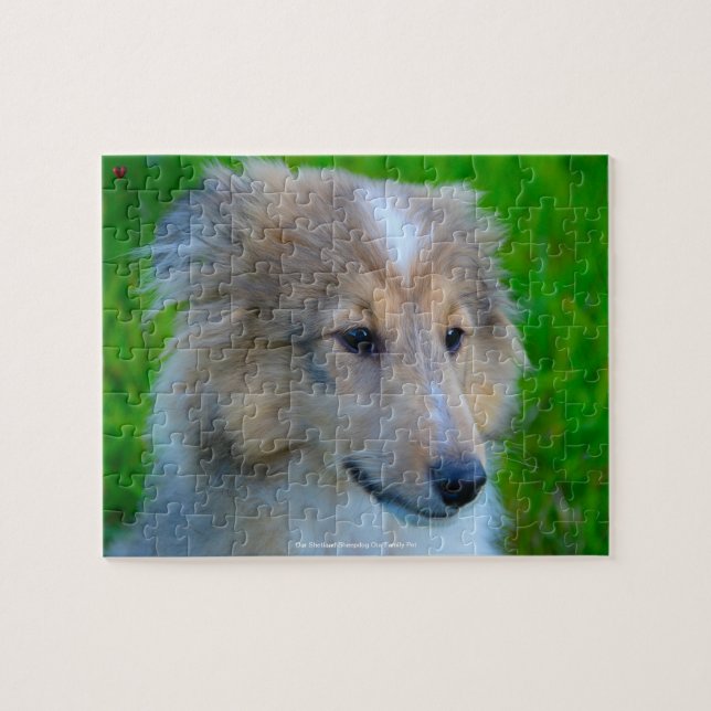 Puzzle Notre chien de mouton Shetland Notre animal de fam (Horizontal)