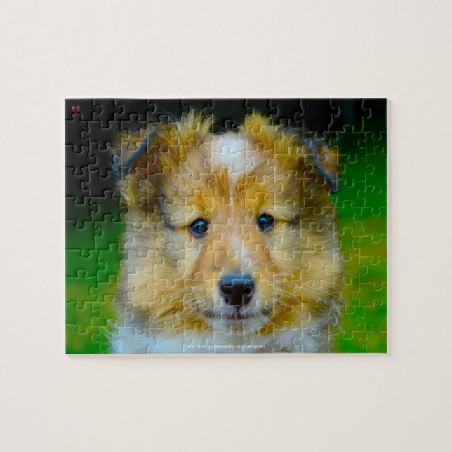 Puzzle Notre chien de mouton Shetland Notre animal de fam (Horizontal)
