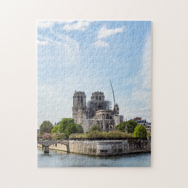 Puzzle Notre Dame de Paris, the day after 2019 fire (Vertical)